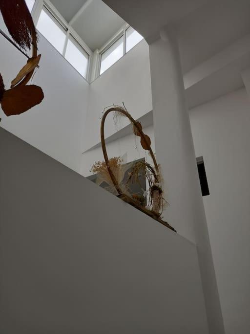 Casa Perla